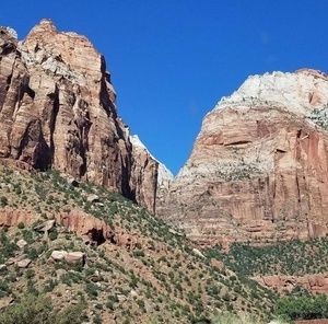 Meet your Posher, Roxana